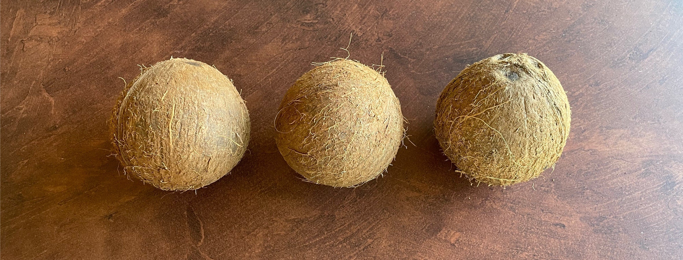 kokosnoten op een rij